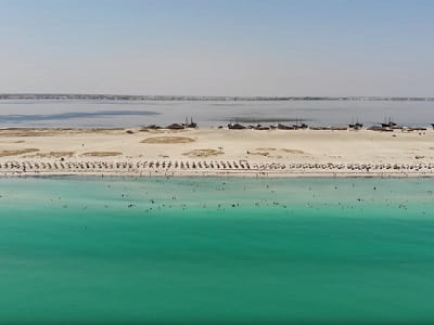 L'ile aux flamants roses